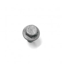Flange screw 984734